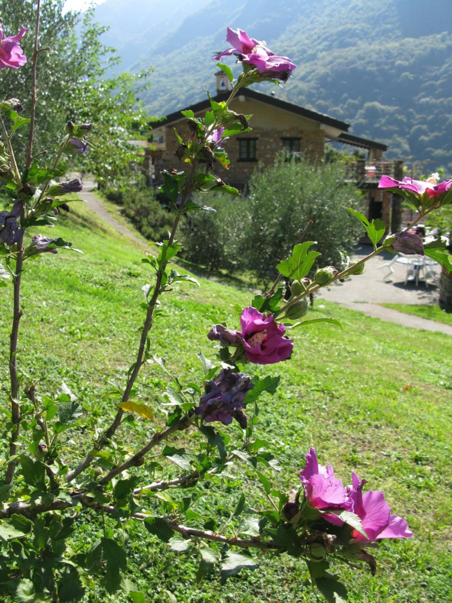 Chalet Della Rota Marone Dış mekan fotoğraf
